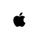 Apple Dictation app icon