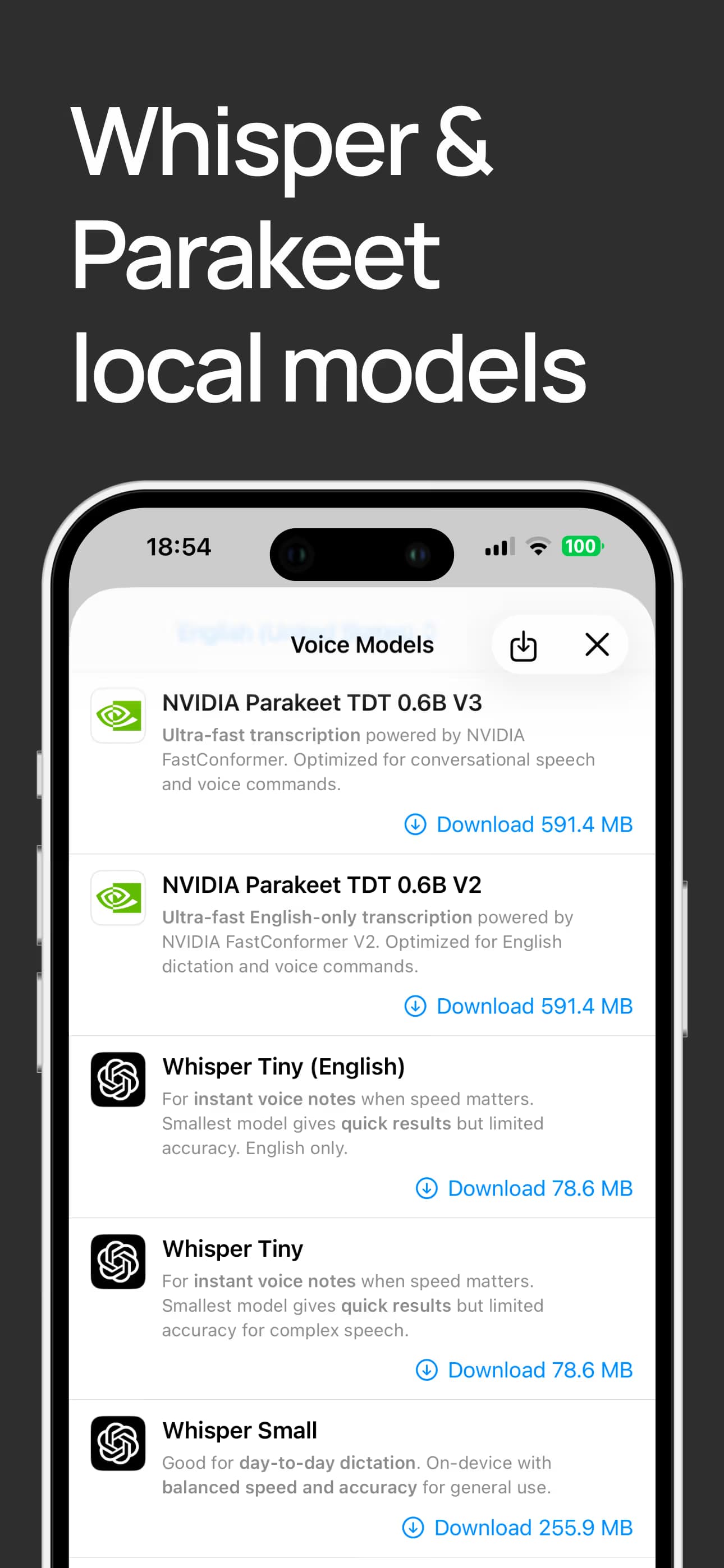 Whisper & Parakeet local models