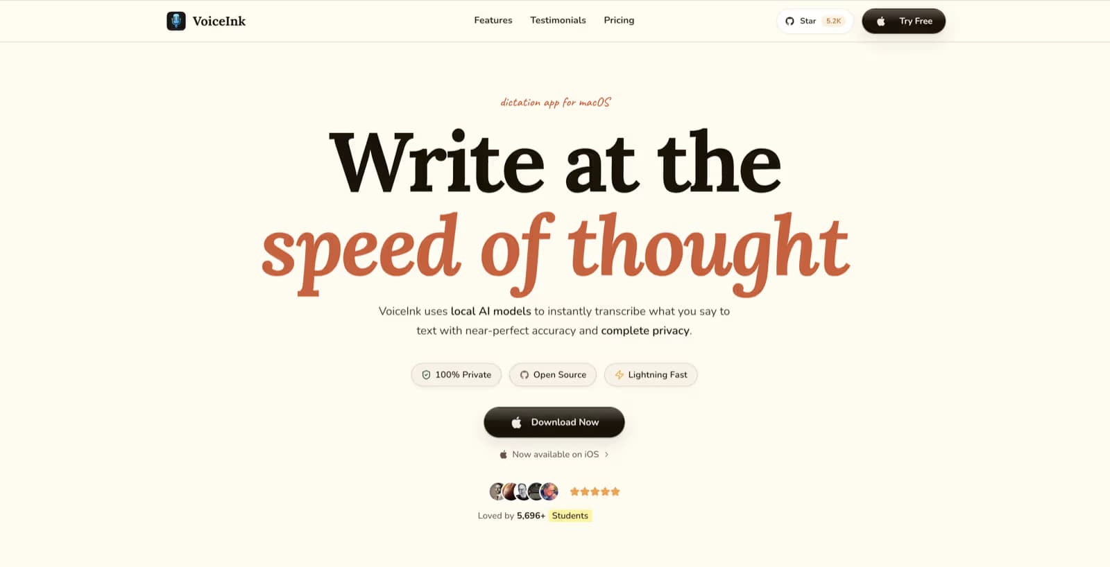 Screenshot of the VoiceInk homepage
